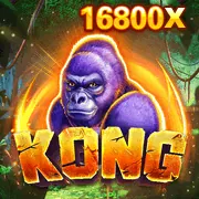 Đa Dạng Loại Hình